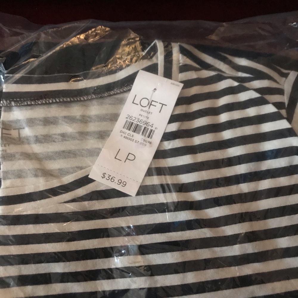 Petite Large Loft blouse